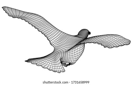 Seagull flying polygonal lines illustration. Abstract vector seagull on the white background