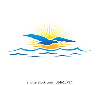 seagull flying in the sea sunset image icon