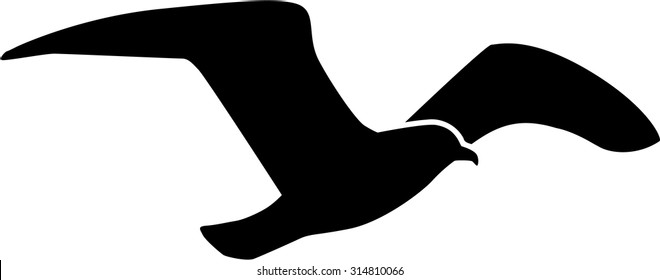 Seagull flying silhouette