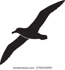 Seagull flying silhouette isolated black vector graphic design.