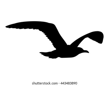 Seagull flying silhouette isolated on white background. Vector illustration