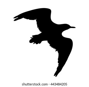 Seagull flying silhouette isolated on white background. Vector illustration