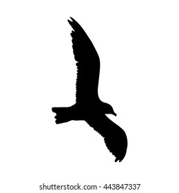 Seagull flying silhouette isolated on white background. Vector illustration