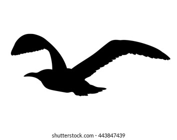 Seagull flying silhouette isolated on white background. Vector illustration