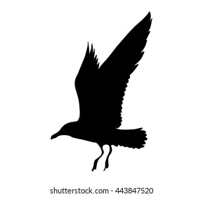 Seagull flying silhouette isolated on white background. Vector illustration