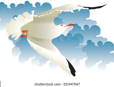 seagull flying in sky
