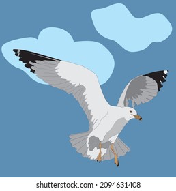 Seagull flying in the sky illustration