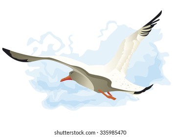 seagull flying in wind