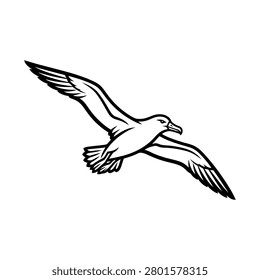Seagull flying with wings spread