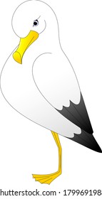 seagull with gray and white plumage and yellow beak