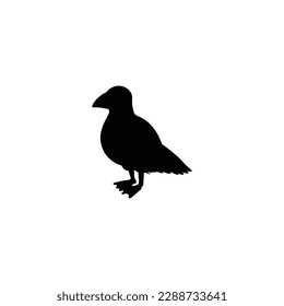 Seagull or gull bird black silhouette monochrome vector illustration isolated on white background. Gull sea bird outline shape or contour image for design and print.
