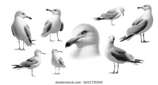 Gaivota, ilustração vetorial de meio-tom de uma gaivota voando, de pé, em estilo de revista em quadrinhos retro com textura pontilhada em negrito. Imagem em preto e branco de alto contraste isolada no plano de fundo branco. Mar estilizado,