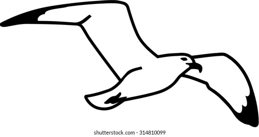 Seagull hand drawn