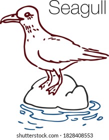 Ilustración vectorial de gaviota dibujada a mano. Arte lineal grabado