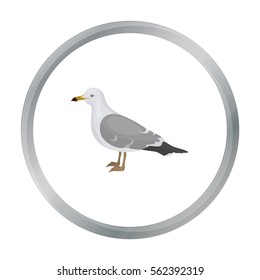 Seagull icon in cartoon style isolated on white background. Bird symbol stock vector illustration.