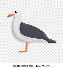 Seagull icon. Cartoon of seagull vector icon for web design  