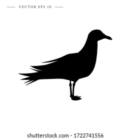 Seagull icon. Isolated vector illustration.