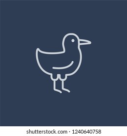 Seagull icon. Trendy flat vector line Seagull icon on dark blue background from animals  collection. 