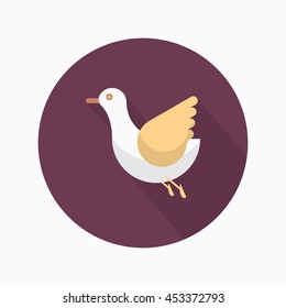 seagull icon, Vector flat long shadow design. 