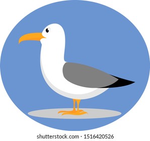 Seagull, illustration, vector on white background.