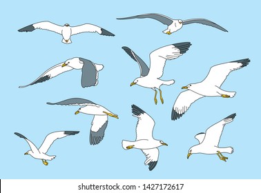 A seagull image set in various poses. hand drawn style vector design illustrations. 