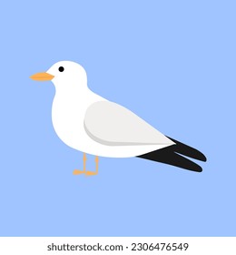 Seagull isolated on background. Flat gull. Vector illustration of sea bird