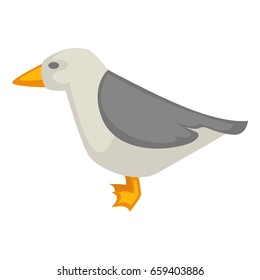 Seagull isolated on white vector colorful graphic illustration