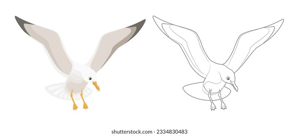 Aterrizaje de gaviota. Dibujo de esquema para colorear. Ave en vuelo aislada en un fondo blanco.  Espléndida silueta de aves marinas. Iconos vectoriales simples.