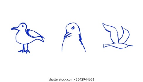 Seagull Line Art Set. Nautical Sketch Illustration. Blue line art birds vector illustration for marine themed designs, cards, and banners.