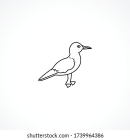 seagull line icon. seagull isolated line icon