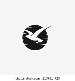 seagull logo design graphic vector illustration