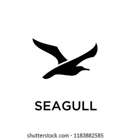 Seagull Logo Icon Designs Vector