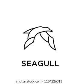 seagull logo icon designs vector