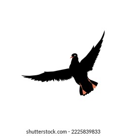 seagull logo icon designs vector