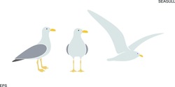 Seagull Logo. Isolated Seagull On White Background. Bird