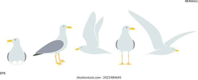 Seagull logo. Isolated seagull on white background. Bird