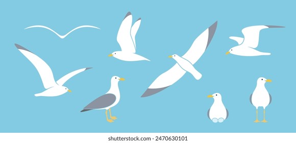 Seagull logo. Isolated seagull on white background. Bird