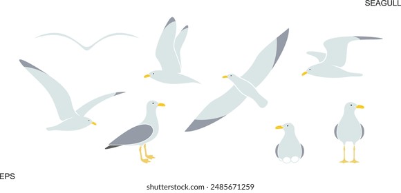 Seagull logo. Isolated seagull on white background. Bird