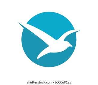 Seagull Logo Template
