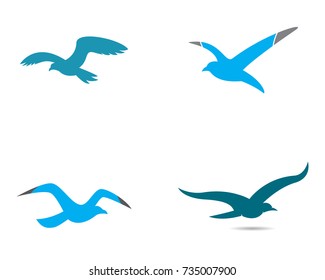 Seagull logo template