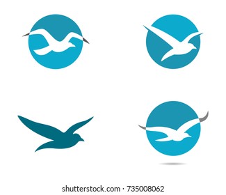 Seagull logo template