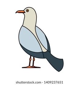 seagull marine animal icon vector illustration