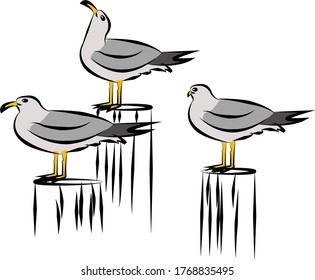 Seagull motifs for fabrics or textile printing. It can be used for a coloring books, phone case, greeting card. logo, calendar