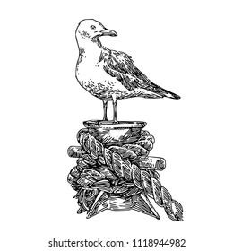 Seagull on mooring. Sketch. Engraving style. Vector illustration.