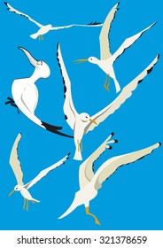seagull on one page