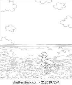 Seagull on a sandy beach of a tropical island in a southern sea on a beautiful summer day, black and white outline vector cartoon illustration for a coloring book page
