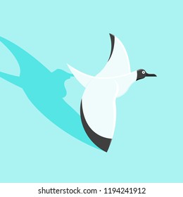 seagull on the sky