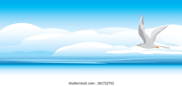 Seagull on a skyscape background. Vector