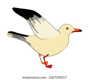 A seagull on a white background. Vector. Color clipart with a seabird. Beach holidays, sea set