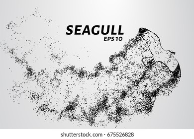 Seagull of the particles. Seagull consists of small circles and dots. Vector illustration